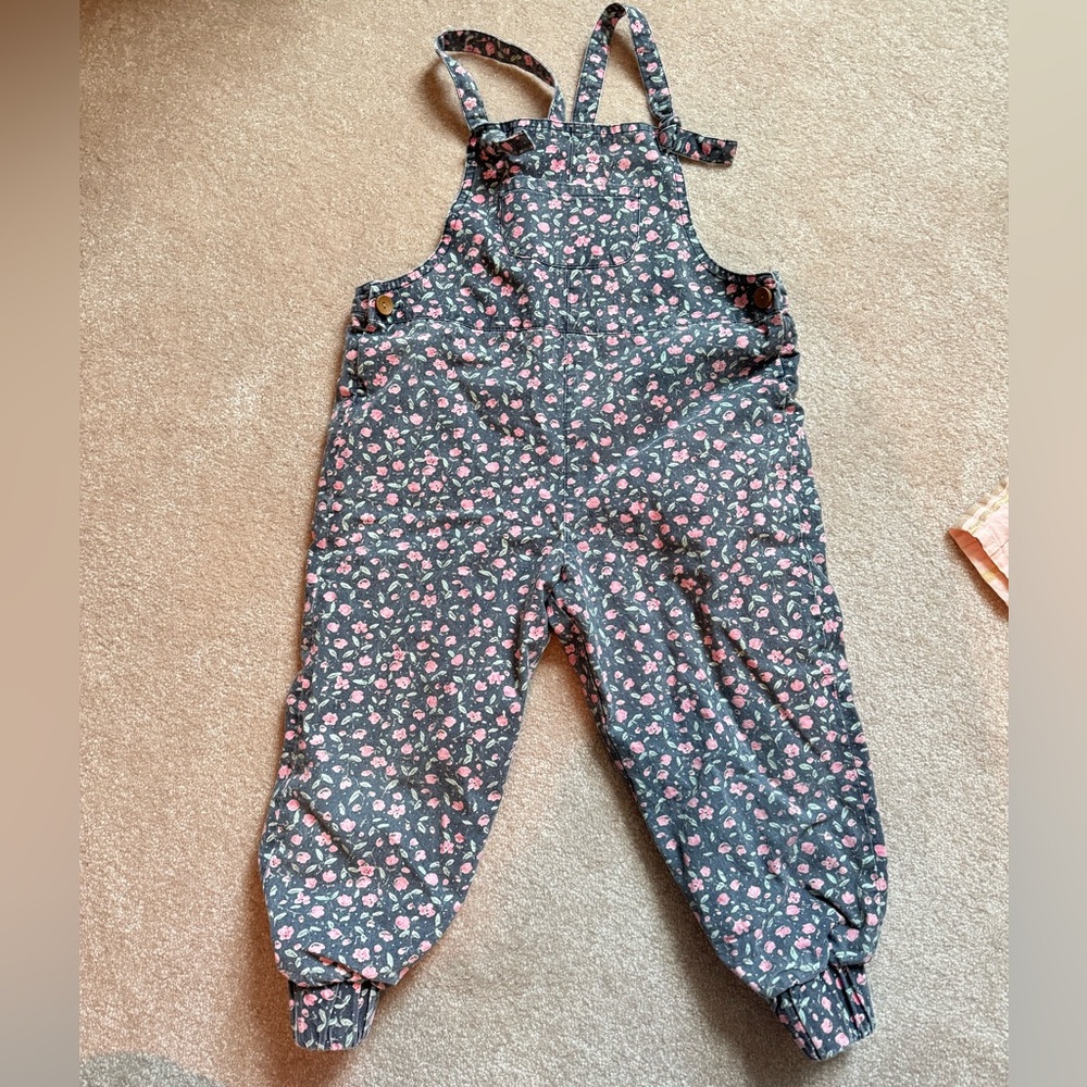 Wren & James girls 4t vintage adjustable overalls